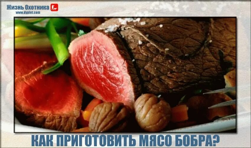 Вкусное ли бобриное мясо. Бобровое мясо чем полезно.