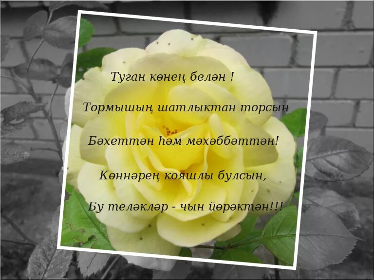 Туган. Туган кон. Поздравления с днём рождения на татарском. Туган кон открытка.