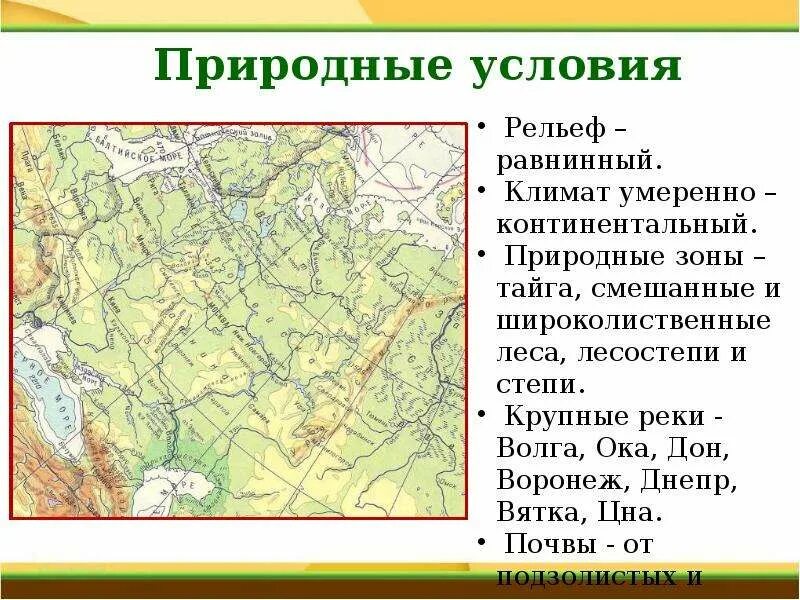 Географическое положение умеренно континентальной области. Природные условия рельеф. Рельеф смешанных лесов в России. Природные условия рельеф климат. Смешанные и широколиственные леса рельеф.