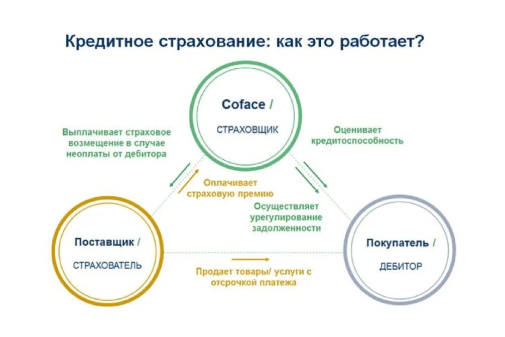 Кредит между компаниями. Виды кредитного страхования. Страхования банковских кредитов. Виды страхования кредитов. Страхование по видам кредитования.