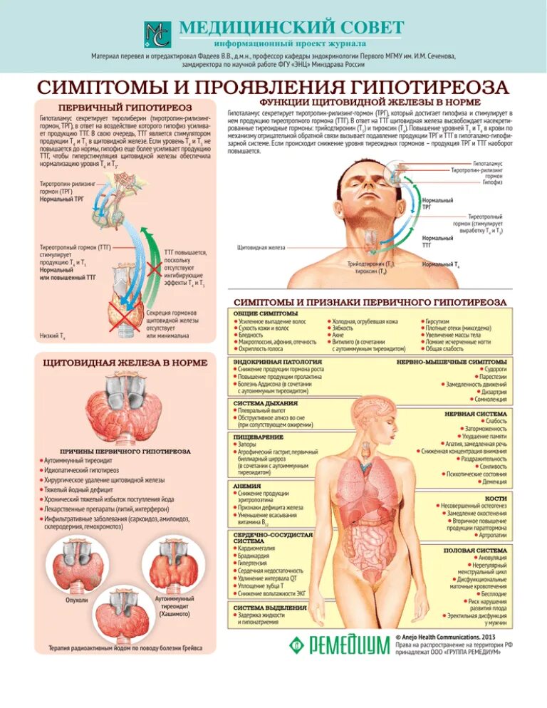 Больным с гипотиреозом. Памятка для пациентов с ГИПОТИРЕОЗО. Профилактика гипотиреоза. Симптомы и проявления гипотиреоза.