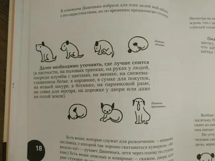 Рассказ коварное прошлое