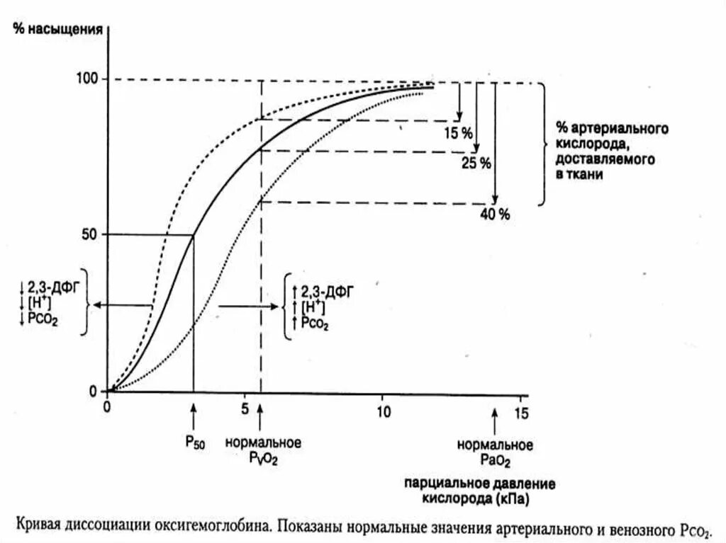 Кривая насыщения оксигемоглобина. Степень насыщения крови кислородом. Уровень насыщения артериальной крови кислородом. Насыщение артериальной крови кислородом в норме.