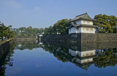 A dog lives in the imperial palace