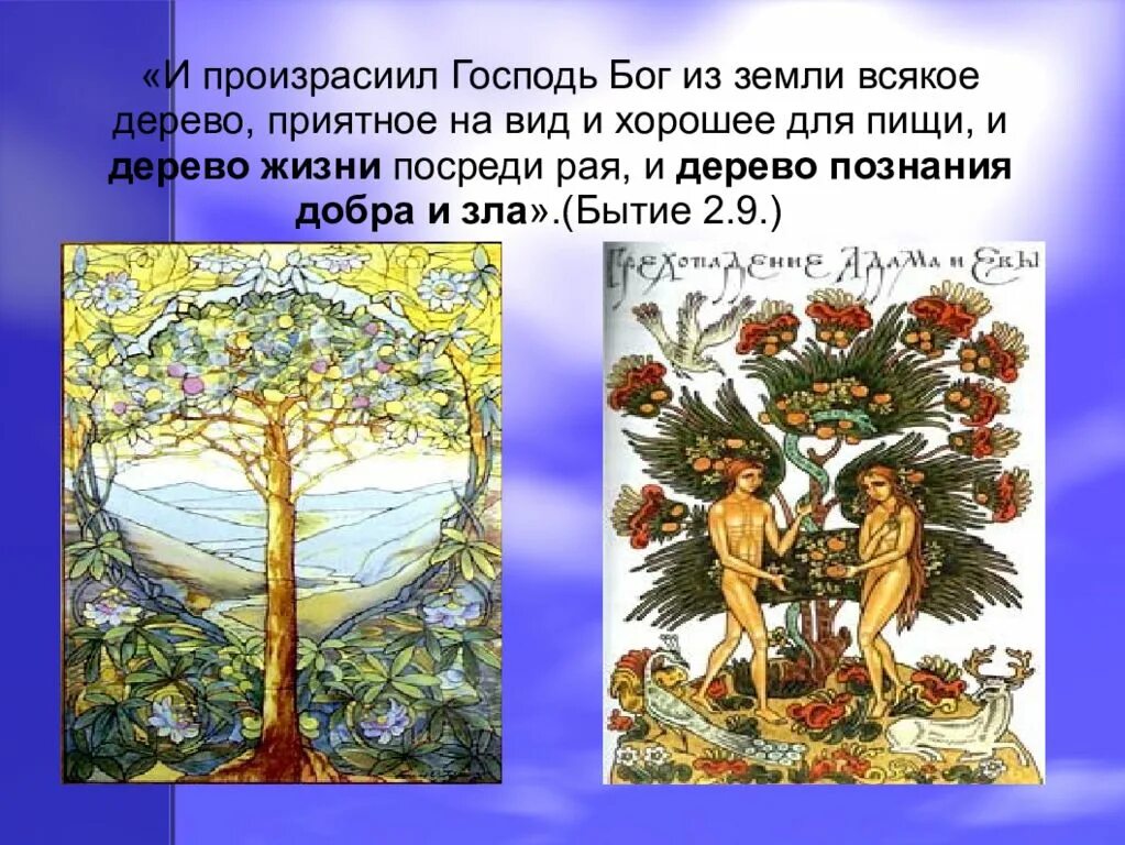 Дерево одевшее адама. Древо жизни и древо познания добра и зла. дерево познания добра и зла и дерево жизни. символ - древо познания добра и зла. адам и ева дерево познания.