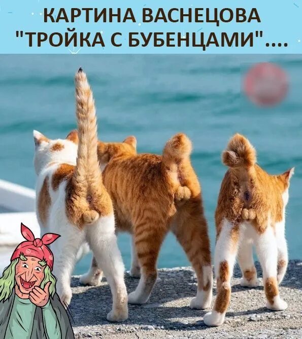 Бубенцы кота. Кот с бубенцами. Ошейник для кота. Антистрессы котики. Игрушка-антистресс кот.