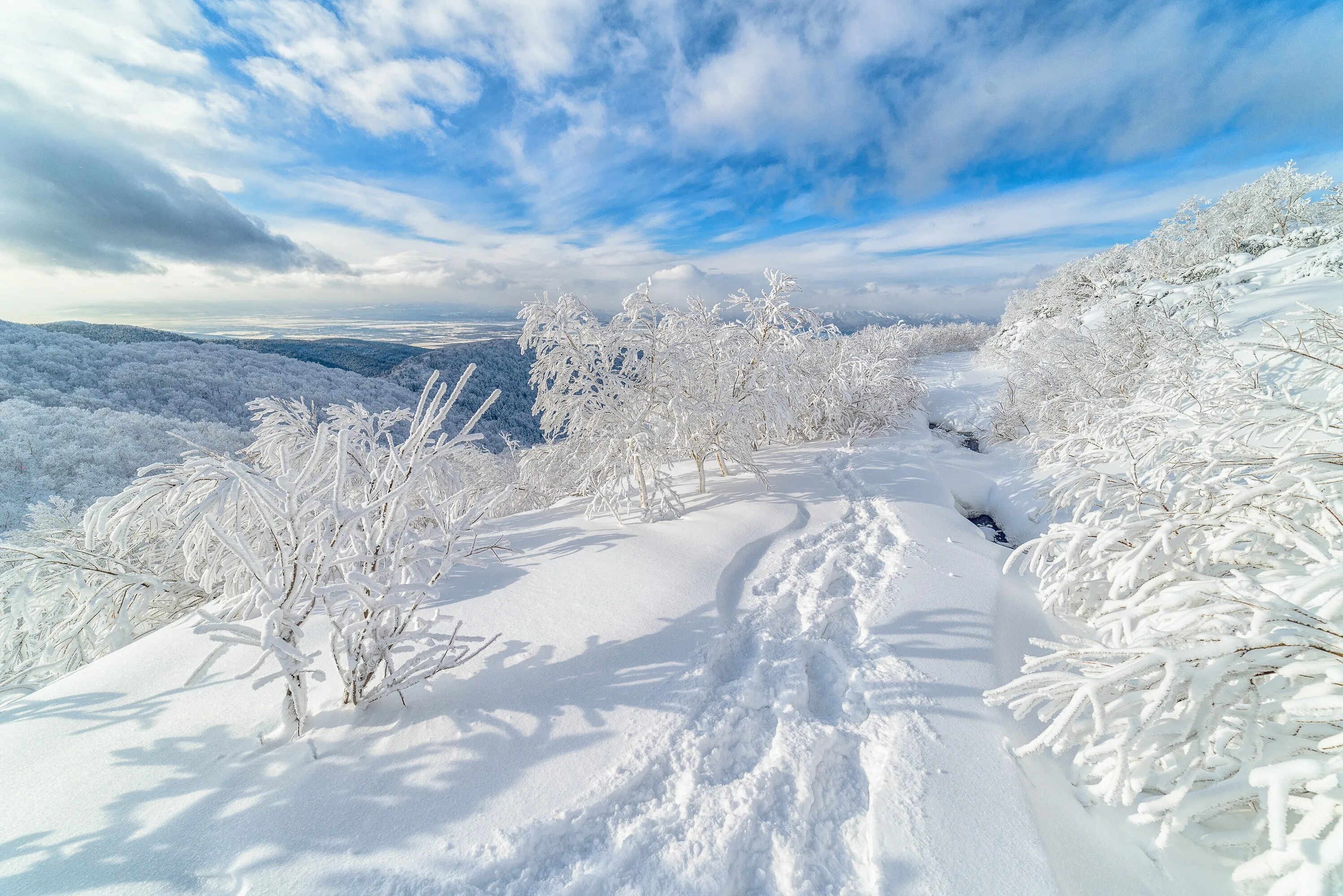 Снежка россия. Южно Сахалинск природа зима. Снежные просторы. Заснеженные просторы. Зимние просторы.