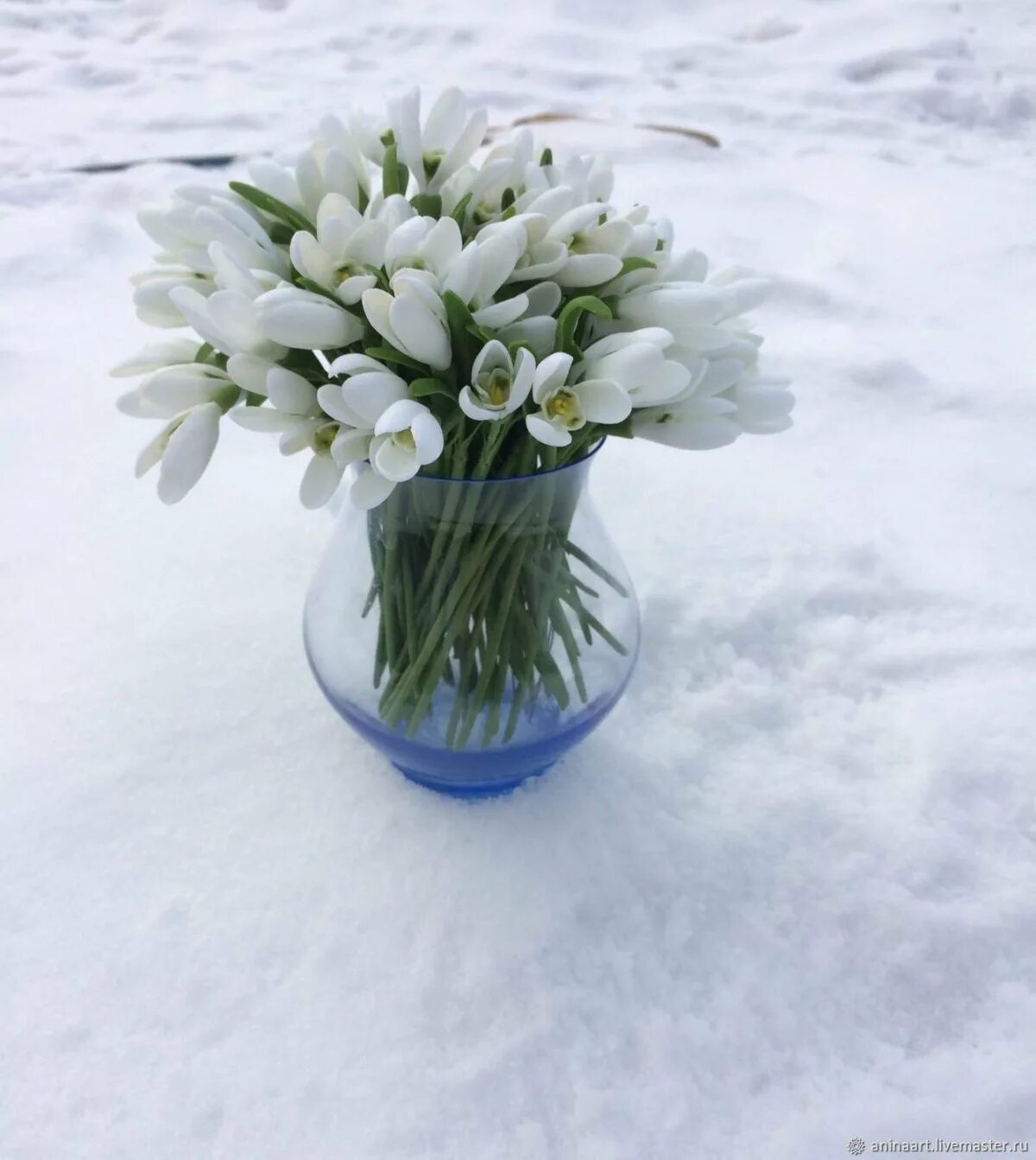 галантус букетик. букет подснежников фото. красивый букетик подснежников. шикарный букет подснежников. весенний букет подснежников.
