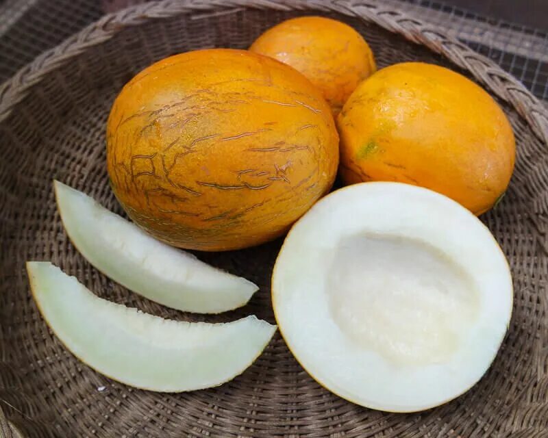 Класс дыни. Дыня afghan honeydew. тыквина дыни это плод. дыня это ягода или фрукт. дыня это ягода или овощ.