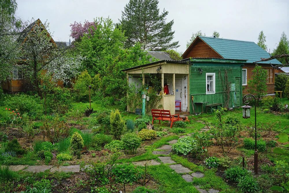 На даче читать полностью