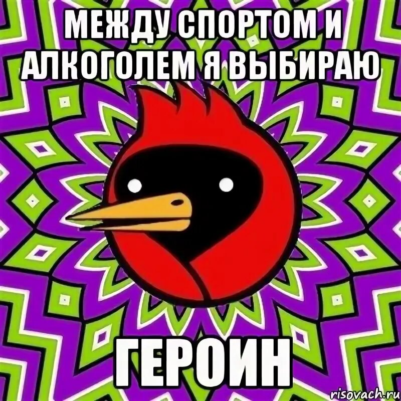 Мем между. Омская птица порошок. омская птица маршрутка. омская птица сесть на героин. мемы про герыч.