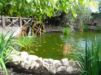 Каменский парк ростовская область
