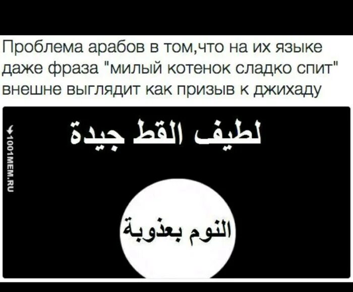 Шутки про арабский язык. Анекдоты про арабов. Арабские цитаты смешные. Прикольные фразы на арабском.