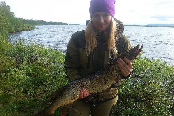 Щука Мурманск. Трофейная рыбалка. Мончегорск рыбалка. Озеро Пиренга. Рыбалка вк рязань