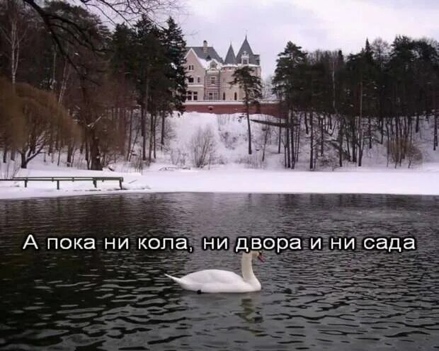 Песня дом у пруда. Белый лебедь на пруду дом. лесоповал белый лебедь на пруду. лебедь белая караоке. а белый лебедь на пруду качает павшую звезду.