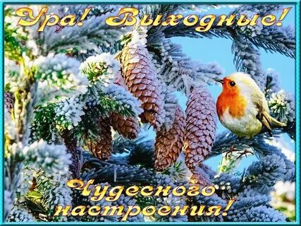 Открытка с доброй зимней субботой