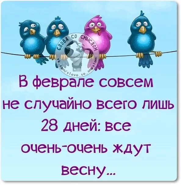 Статус про первый день весны. Высказывания про весну прикольные. Фразы про весну прикольные. Позитивные статусы про весну. Позитивные высказывания.