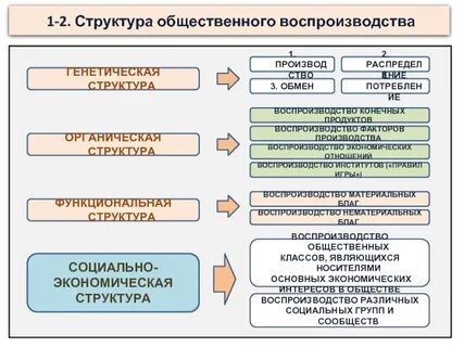 Структура общ отношений