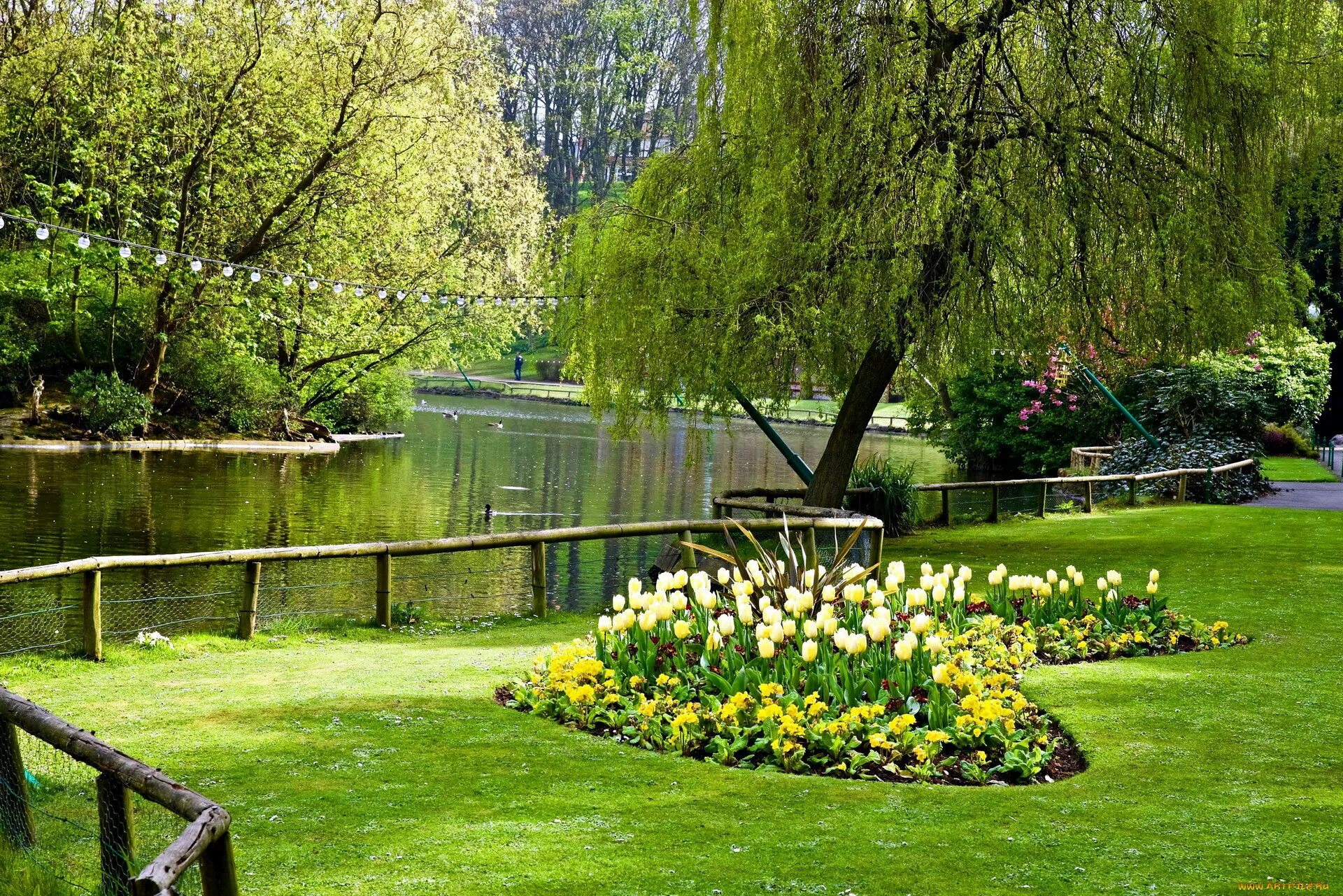 Лето парк. Peasholm Park Скарборо. Парк Сокольники зелень. Природа парк. Весна в парке.