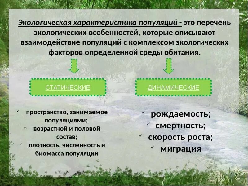 Популяция человека пример. Экологические характеристики популяции. Основные экологические характеристики популяции. Характеристика экологии.