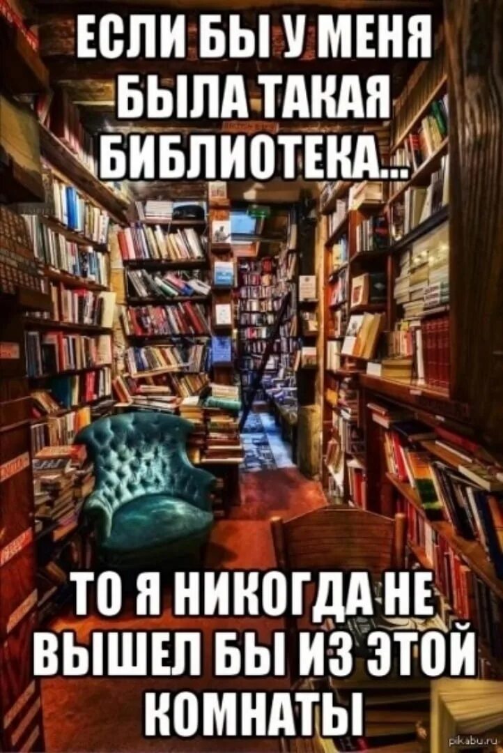 Библиотека лучший друг. Приколы про библиотеку. Шутки про библиотеку. Смешные фразы про библиотеку. Шутки про библиотеку и про книги.