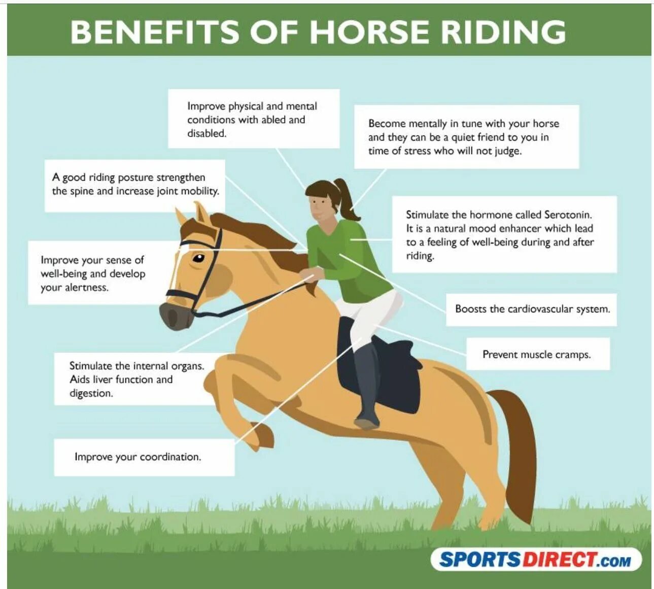 Какую работу совершает лошадь при перевозке. Дети на занятиях верховой езды. Принцип езды на коне. Классификация конного спорта. Правила конного спорта.