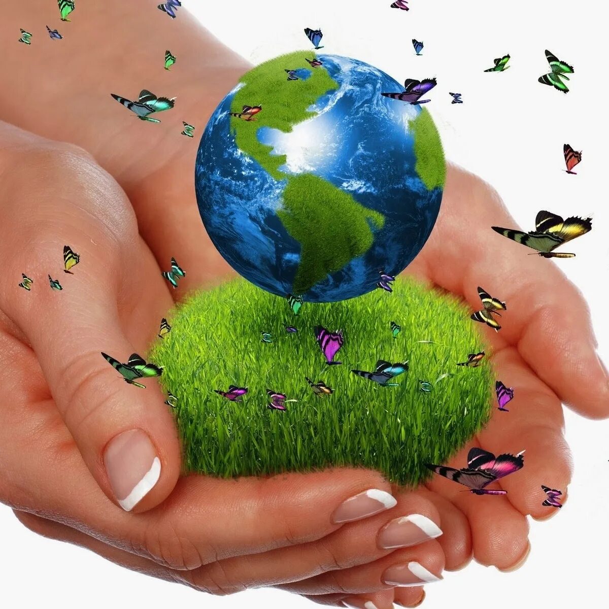 Экология земли игра. Земля в руках. Экология планеты. Чистая земля. Планета в руках.