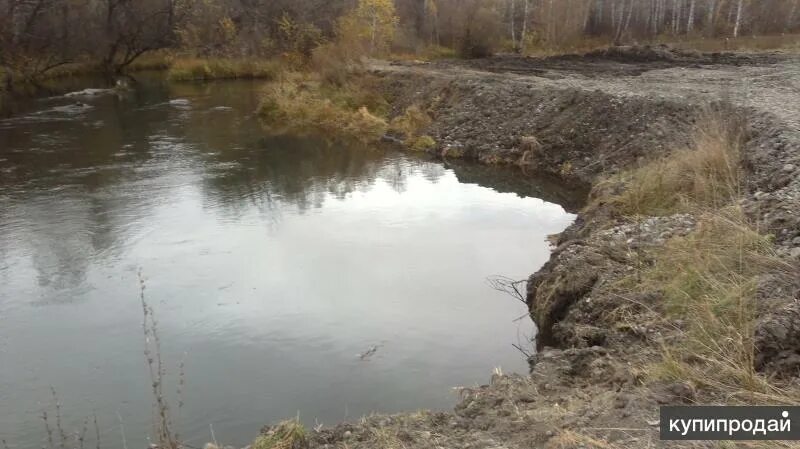 Кокши Советский район Алтайский край. Село Кокши Советский район. Река Кокша Советский район Алтайский край. Река Кокша в Алтайском крае. Погода кокши алтайский край