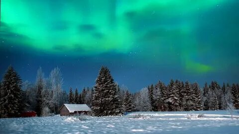 Северное снежное