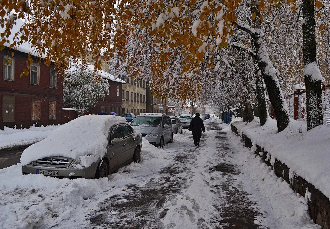 Снежка россия. Снегопад в городе. Первый снег в городе. Снег в городе. Зима в России.