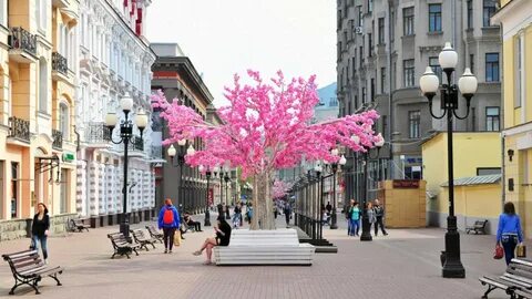 Улицы москвы в мае