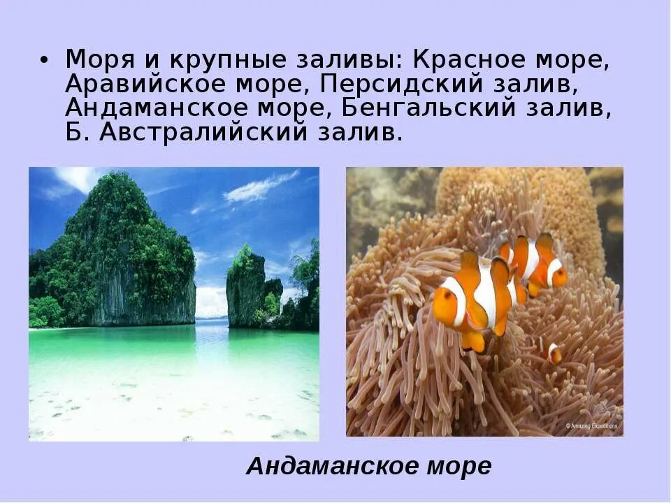 Индийский океаны 7 класс география. Название индийского океана. Индийский океан презентация. Биологические ресурсы индийского океана. Интересные факты о обитателях индийского океана.