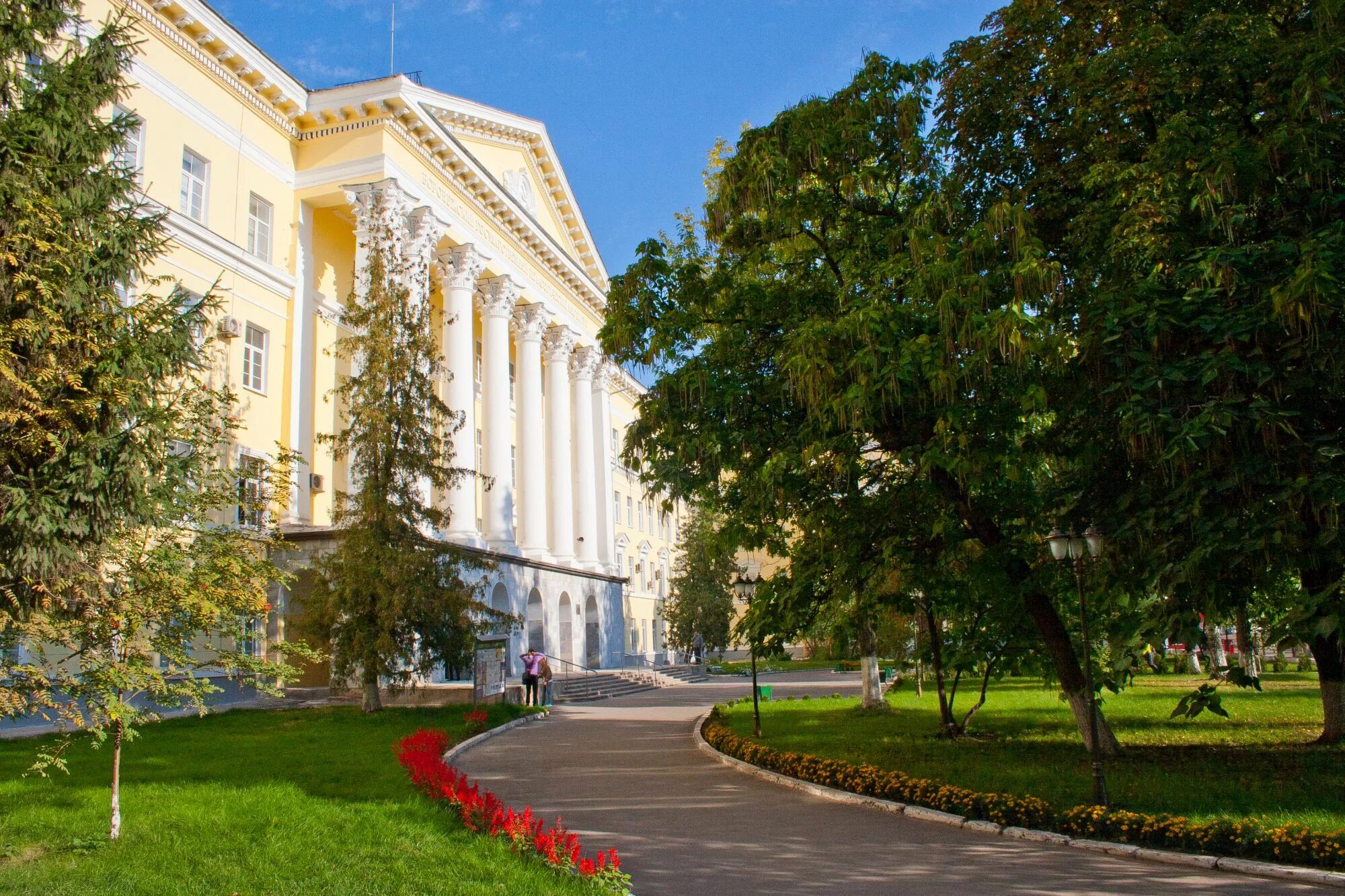 Учреждения образования воронежа. ВГПУ педагогический университет Воронежский. Воронеж институт ВГПУ. Воронежский государственный педагогический университет факультеты. Педагогический вуз Воронеж ВГПУ.