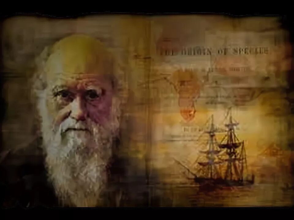 Фон для презентации дарвин. Charles robert darwin 1809-1882. Дарвин наука. Дарвин фон. Дарвин наука.