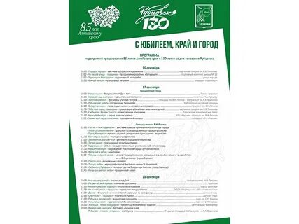 Программа рубцовск