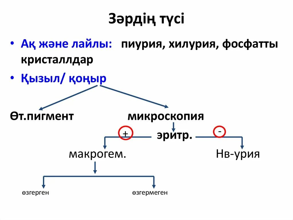 Хилурия латынь. Хилурия латынь. Хилурия цвет мочи. Хилурия латынь. Хилурия фото.