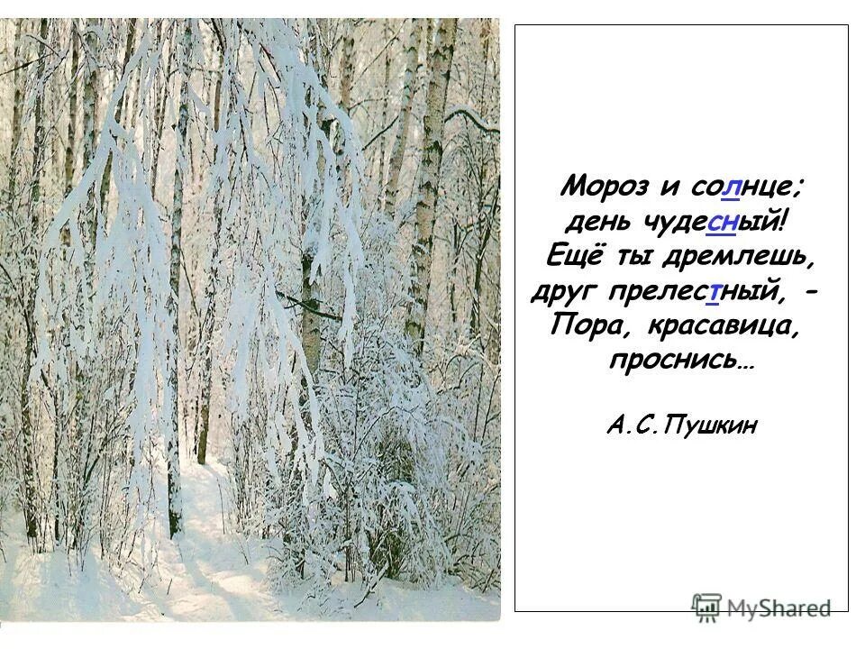 Стих пушкина зимнее утро. 2 мороз и солнце день чудесный. Мороз и солнце день чудесный. Мороз и солнце день чудесный. Мороз и солнце день чудесный.