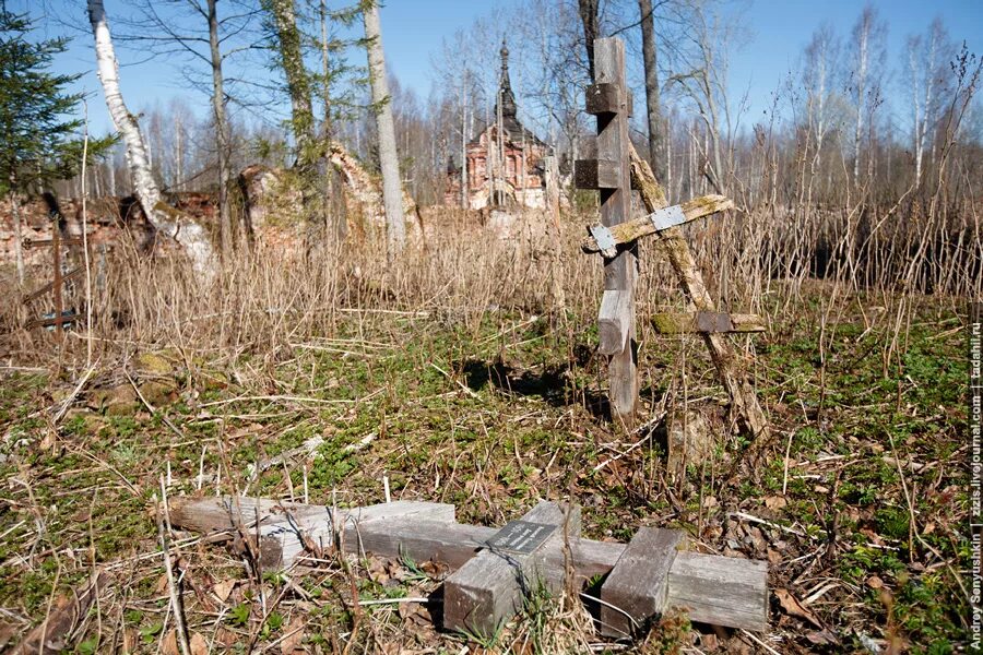 Позабытый брошенный. Заброшенная могила в лесу. Кладбища заброшенных деревень. Заброшенные кладбища России в лесу. Заброшенное деревенское кладбище.