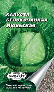 Капуста июньская описание сорта
