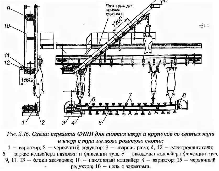 Технологическая схема свиней в шкуре 2.4.6 Переработка свиней со съемом шкуры