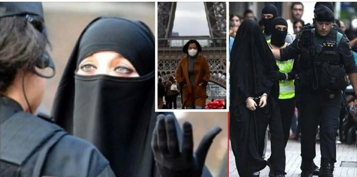 Запрет хиджаба во Франции. Во Франции запретили хиджаб. Запрет на ношение хиджаба во Франции. Кот в парандже.