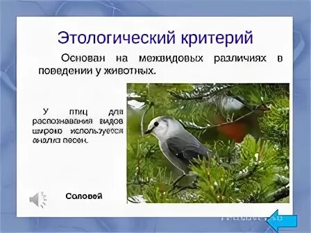 Примеры этологического критерия. Этологические признаки это. Этолооический критерии. Примеры этологического критерия. Этолооический критерии.