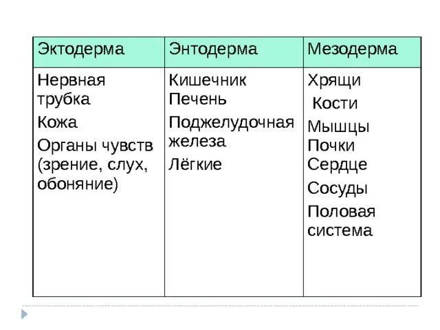 Что развивается из мезодермы. Эктодерма и энтодерма и мезодерма мезодерма. Эктодерма 2) энтодерма 3) мезодерма. Эктодерма образующие органы. Эктодерма мезодерма энтодерма таблица.