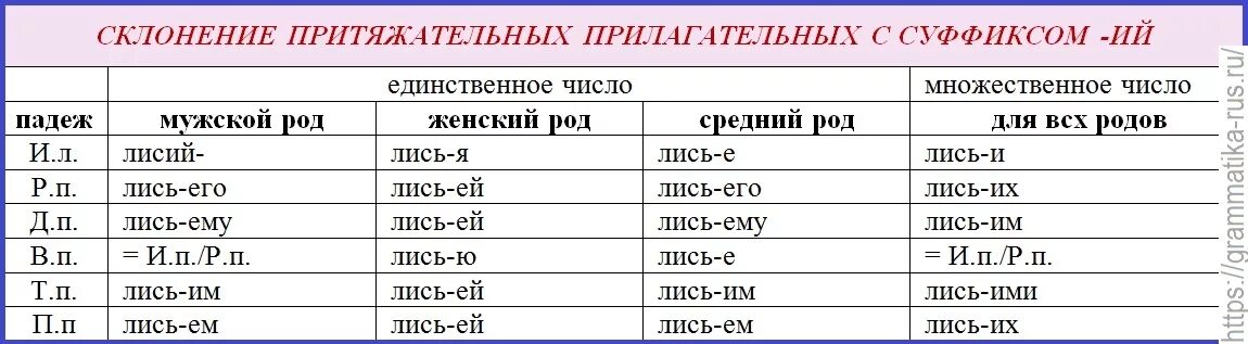 Жили на дальнем севере падеж. Склонение притяжательных имен прилагательных. Правописание окончаний притяжательных прилагательных. Склонение притяжательных прилагательных таблица. Склонение по падежам притяжательных прилагательных.