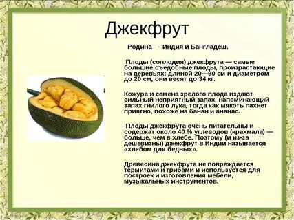 Джек фрукт польза