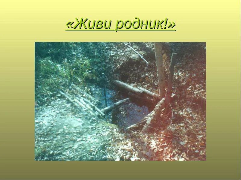 Родник ключ источник. Ключ родник для детей. Со словом родник. Родник источник. Со словом родник.