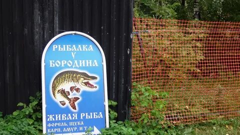 Рыбалка круглосуточно