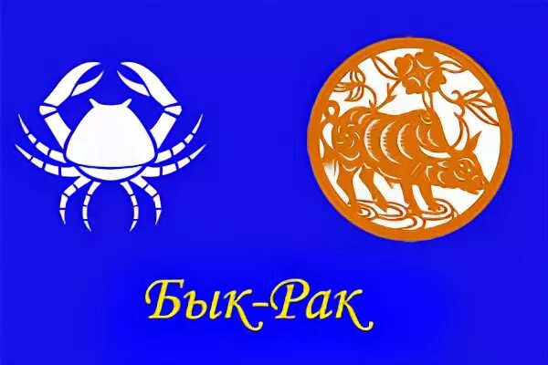 Характер скорпион крыса. Год крысы характеристика мужчина. Крыса гороскоп картинки. Рак в год крысы женщина. Крыса характеристика знака.