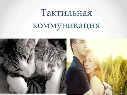 Тактильная коммуникация виды