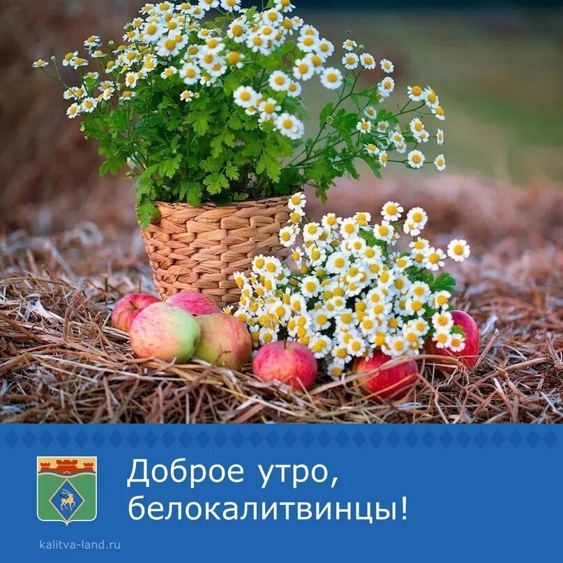 Хорошего и благословенного дня настроения доброе утро. Открытки на каждый день. благословенного утра и прекрасного дня. благословенного дня и хорошего настроения. позитивные пожелания на каждый день.